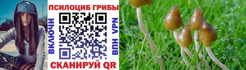 omg ссылка Нижние Серги Галлюциногенные грибы мухоморы где купить наркоту